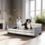Canapé pour chien-96380727