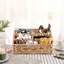Water Hyacinth Desk Organiser