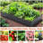 841 Ft Outdoor Galvanized Garden Bed, Ideal For Vegetables, Fruits, And Herbs - Ample Space, Quick Assembly Raised Planter Bed Ft, Planting Area, Reusable-1492145408