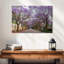 Sirci Saxonwold Jacaranda Lane-107692869