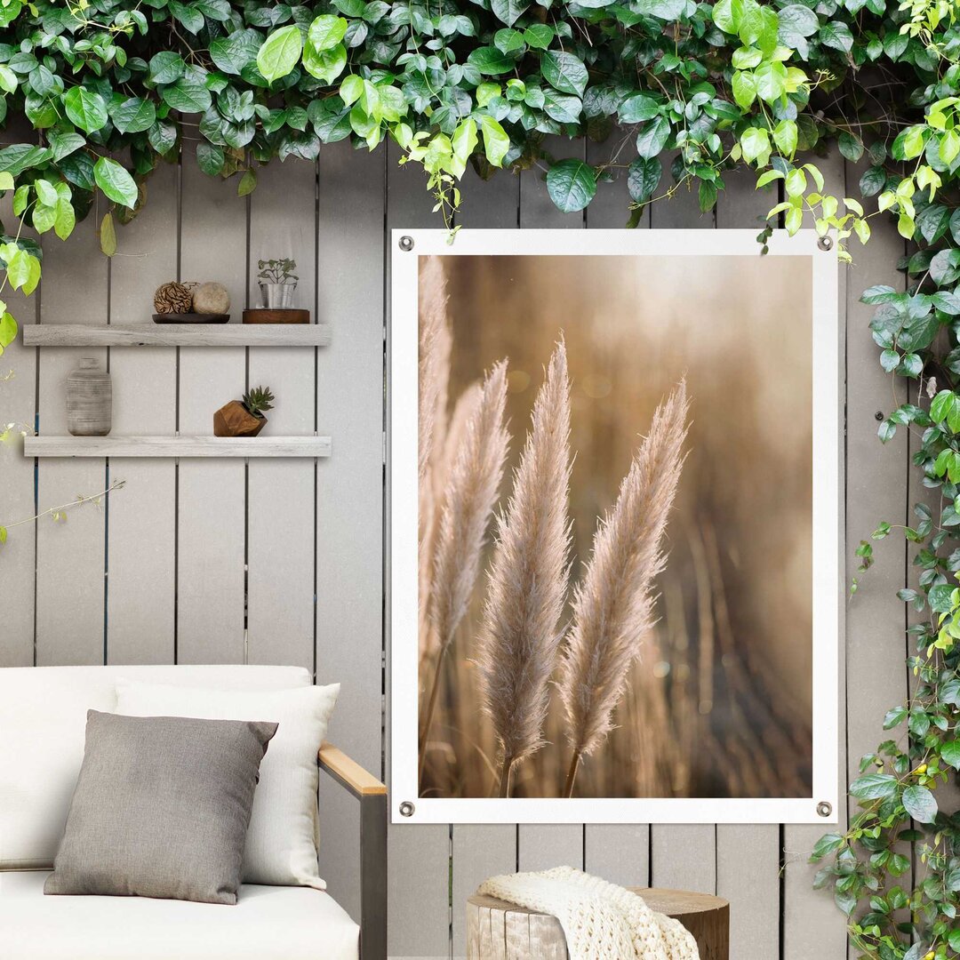 Gartenposter Pampas Federn - Natur - Pflanzen