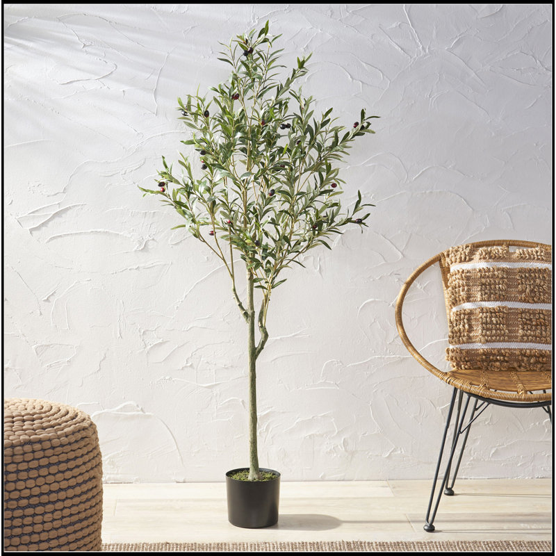 ARBRE D'OLIVE ARTIFIQUE 150CM 150CM, H 59 po x l 23 po x P 23 po