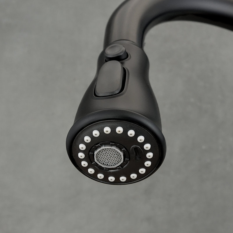Belfry Kitchen Kitchen Faucet, Black