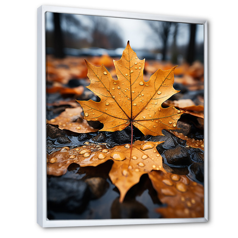 Feuilles d'automne collage I - impression, H 40 po x l 30 po x P 1,5 po, Cadre flottant blanc