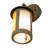 Rustic Lodge Solid Brass Armed Sconce