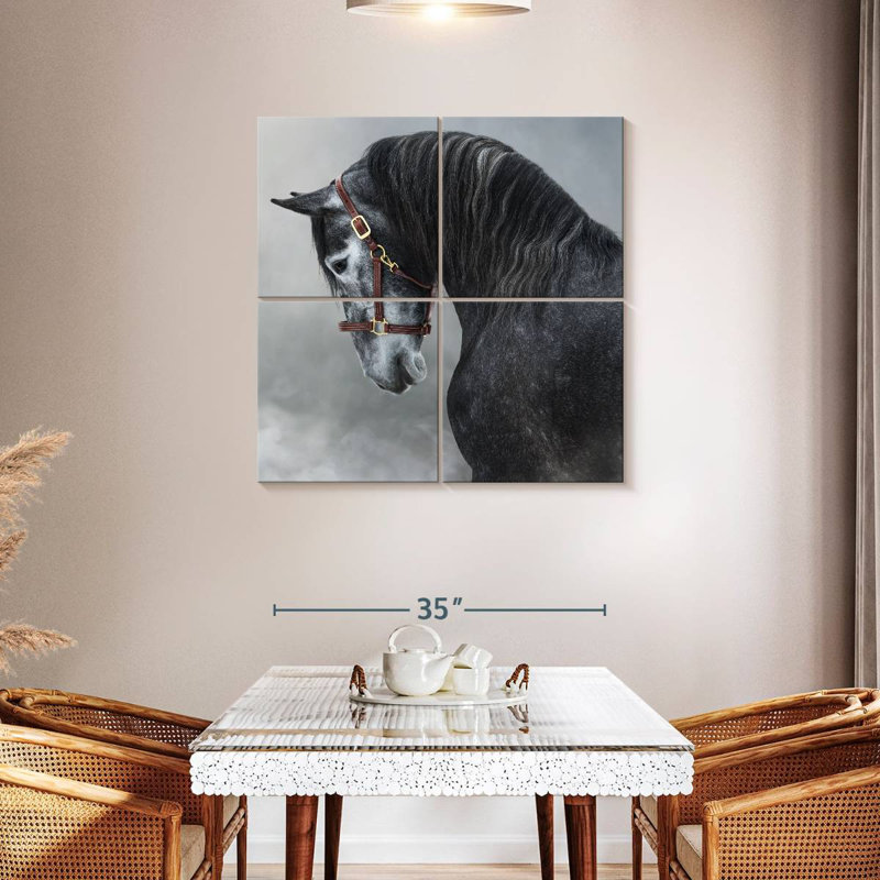 Brampt Gray Andalusian Horse