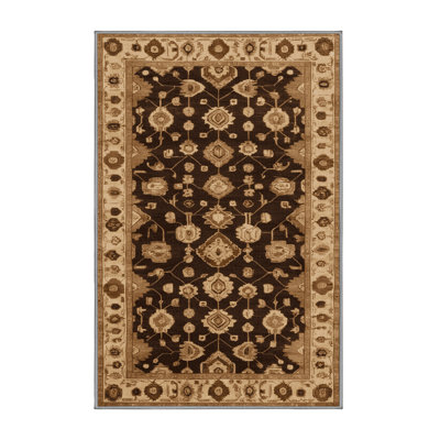 Machine Washable Overdyed Brown Area Rug
