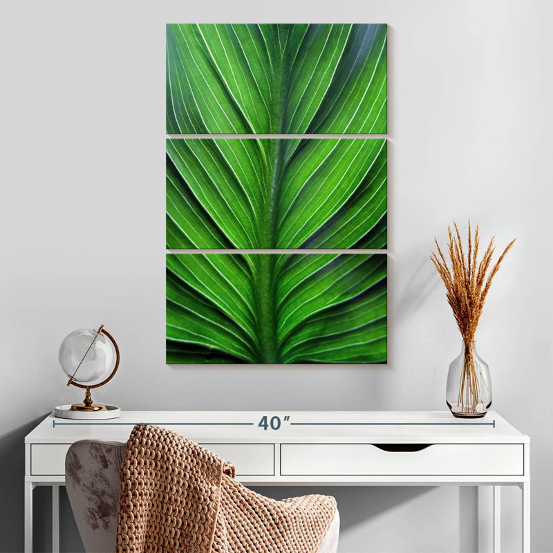Harnek Leaf Lines, 32" H x 20" W