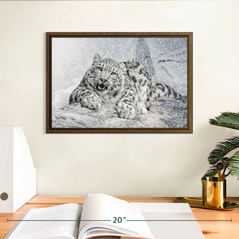 Snow Leopard In Blizzard, 13" X 9", Floating Frame Walnut