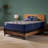 Sealy Dudley Chase 14.5" Medium Tight Top Innerspring Mattress-113658011