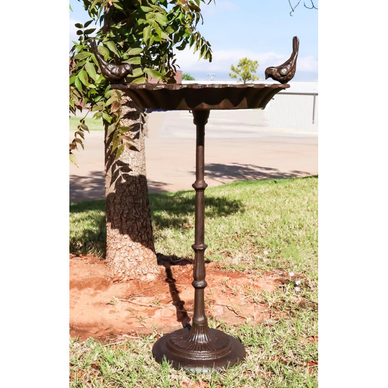 Eldiona Iron Pedestal Birdbath