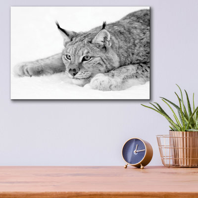 " Lynx 1 " by PhotoINC Studio