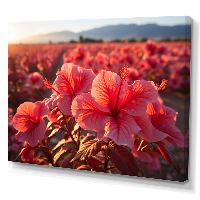Hibiscus Field Vue aérienne, impression sur toile, H 12 po x l 20 po x P 1 po, Toile tendue