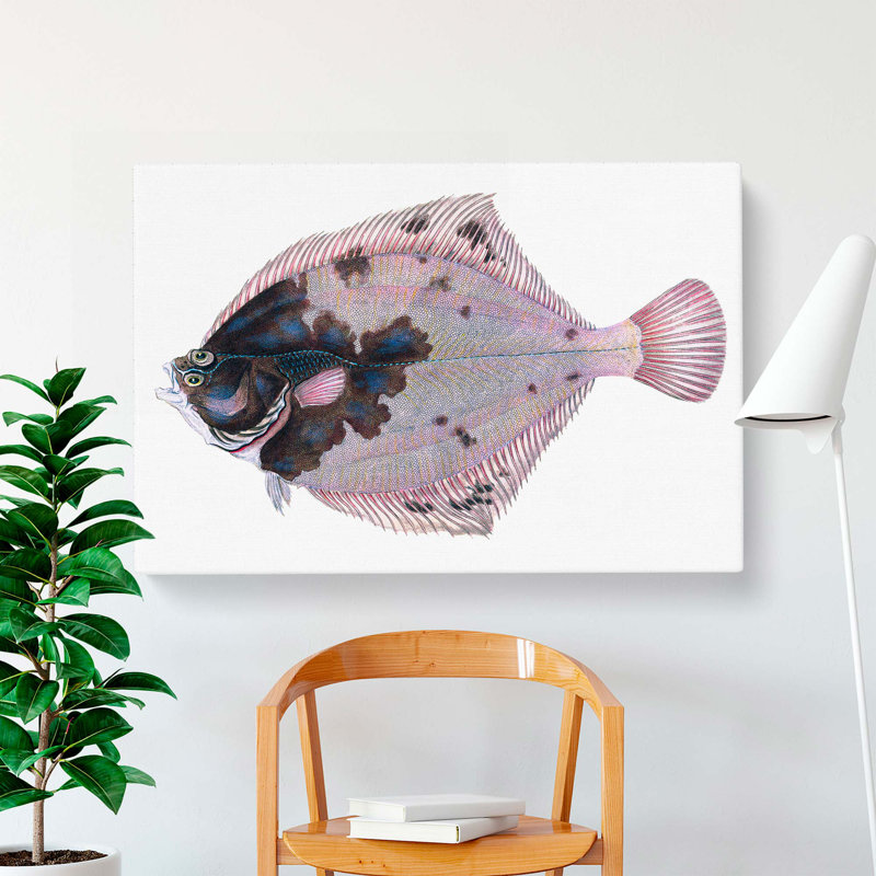 European Flouder Fish by Edward Donovan - Wrapped Canvas Painting, 40cm H x 60cm W x 3cm D