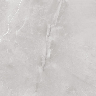 Magi 12" x 24" Polished