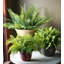 Ensemble de pots à fleurs en résine 3 pièces Knel-530300746-530300744