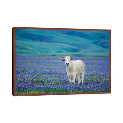 Cows In Lupine IV by Dennis Frates - Print on Canvas
