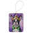 Boston terrier 4750