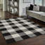Schoffer Synthetic Gingham Indoor Rug-1816555044