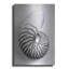 "Nautilus 2" par Debra Van Swearingen-2121705698