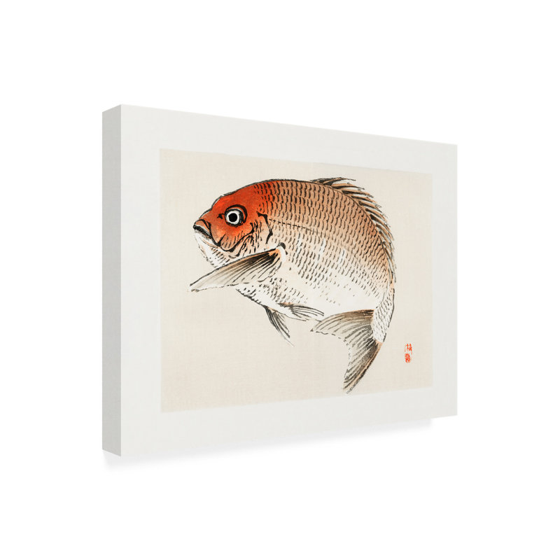 Art sur toile, poisson kono bairei tai, H 14 po x l 19 po