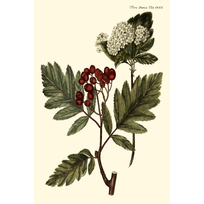 'The Hawthorne Tree' by Georg C. Oeder - Painting Print, 122cm H x 81cm W, Wrapped Canvas