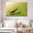 Grasshopper-781262160