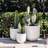 Dorlis Handmade Pot Planter-1541359036-1541359015
