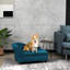 Lit pour chien surélevé pour chiens, bleu foncé avec compartiment caché, coussin, convient aux lits de chien de petite et moyenne race, bleu 3 po, rangement, assemblage facile, fonctionnel