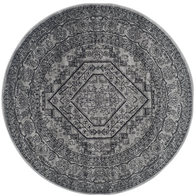 Amedee Performance Oriental Rug