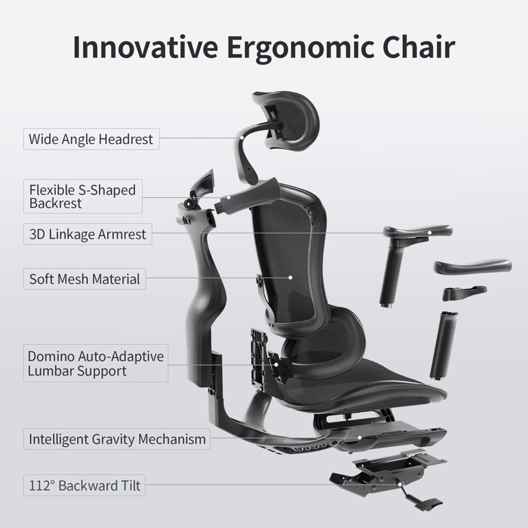 https://assets.wfcdn.com/im/80839693/resize-h755-w755%5Ecompr-r85/2479/247945009/Ergonomic+Task+Chair+with+Headrest%2C+Dynamic+Lumbar+Support+and+3D+Armrests+for+gaming.jpg
