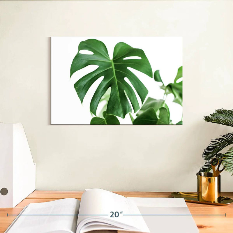 Feuille Harnek Monstera, H 8 po x l 12 po