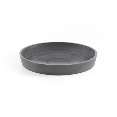 Saucer Plant Stand