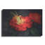 «Night Light-C» par Kirk Reinert-693639772