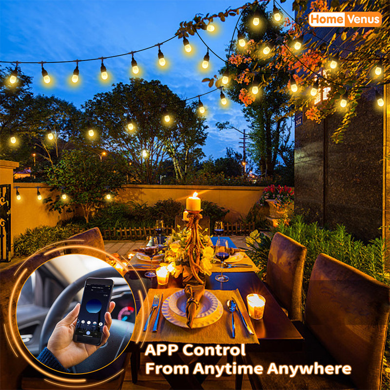 Indoor 30 - Bulb 720'' Plug-in LED Novelty String Light