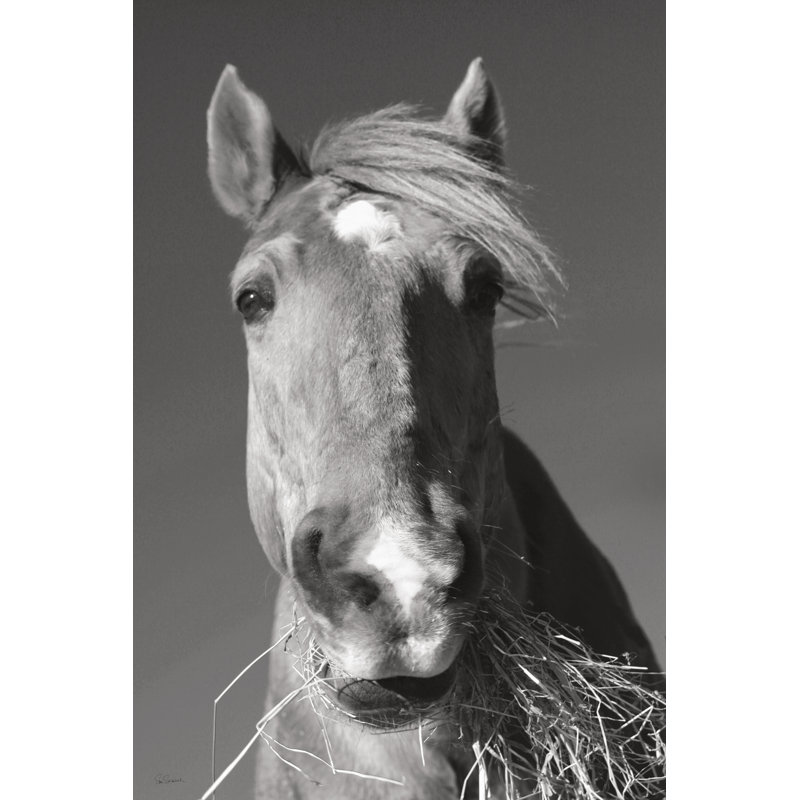 Feeding Time V2 by Sue Schlabach - Wrapped Canvas Print, 46cm H x 30cm W
