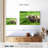 Brampt Asian Elephant Huddle-108156504