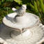 Bain d'oiseaux fontaine-1545641469