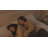 Bedstory 12"/14" Premium Medium Firm Cooling Gel Mattress with Reinforced Edge Support, Pressure Relieving Pocket Springs and Gel Memory Foam, CertiPUR-US® & OEKO-TEX® Certified-1764580764-1758451052