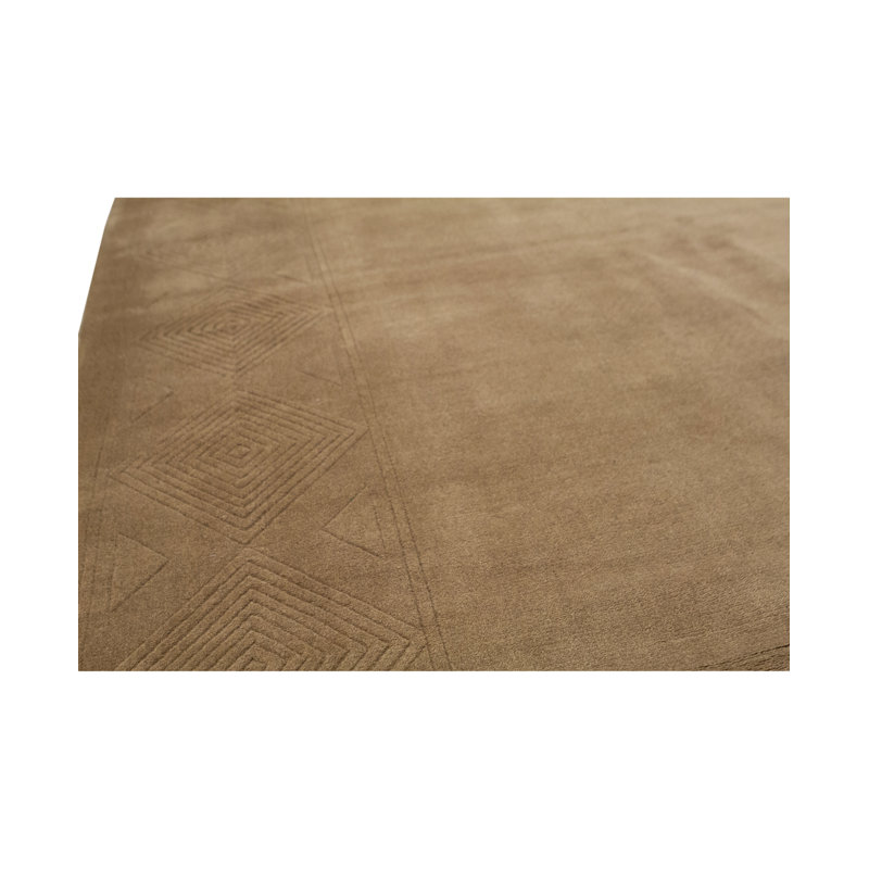 Gabbeh Wool Southwestern Area Rug in Brown