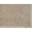 Shaggy Lush Beige Rug-585339391