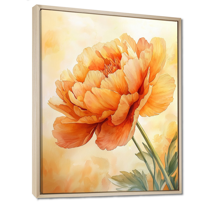 Art sur toile pivoines ensoleillées I, H 44 po x l 34 po, Reproduction avec cadre flottant, Crème, crème