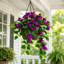 2 fleurs artificielles suspendues Bougainvillea, vigne en tissu de soie artificielle résistante aux rayons UV-197907268