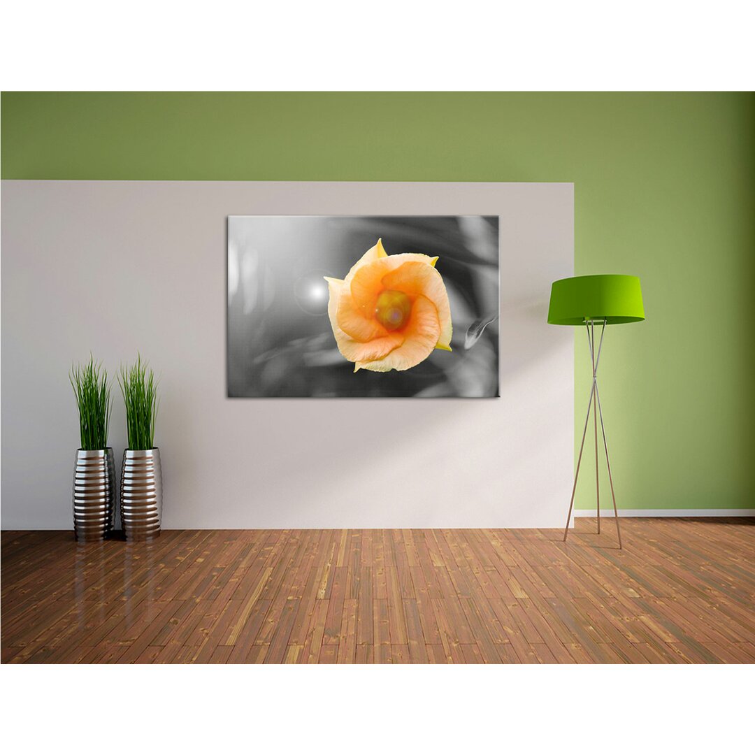 Leinwandbild Orange Blume im Sonnenlicht