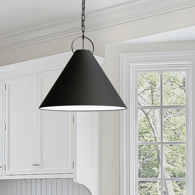 Luminaire suspendu incandescent 1 lumière Princeton, Noir mat, Noir, H 19,5 po x l 24 po x P 24 po