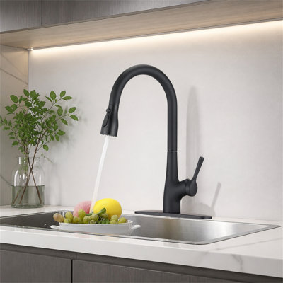 ROBOHIGH Kitchen Faucet Side Spray