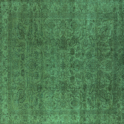 Oriental Indoor Rug