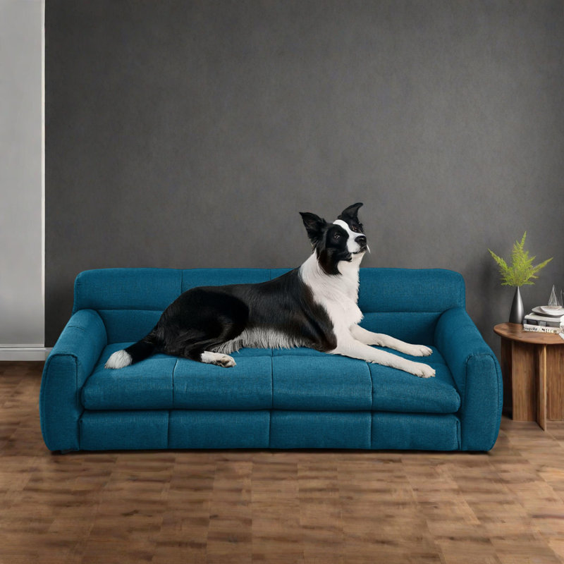 Canapé-lit surélevé pour chiens surdimensionnés, Bleu