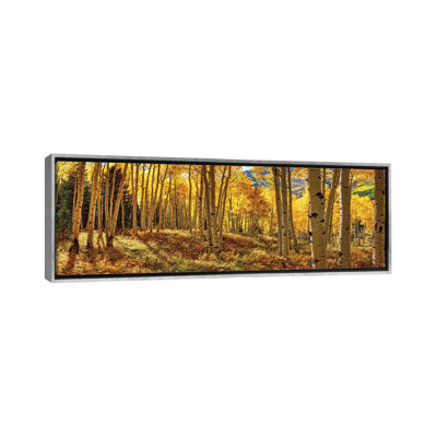 «Autumn Aspen Colorado Forest Panorama», reproduction de photo panoramique sur toile