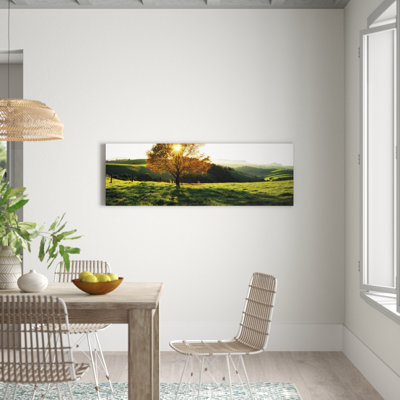 Green And Gold by Andrew Brown - Wrapped Canvas Print